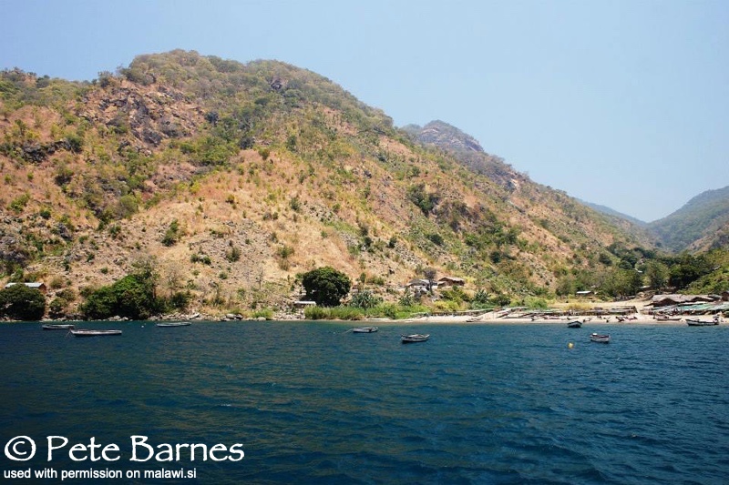 Lion's Cove 03